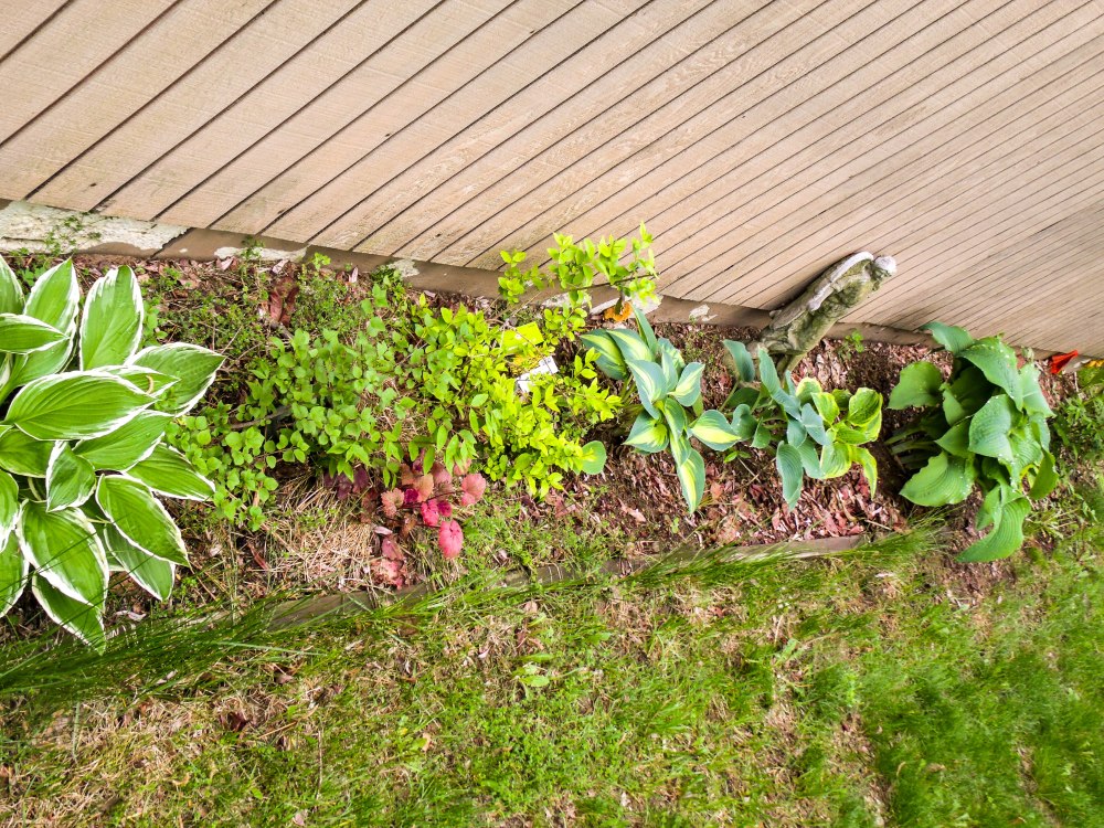 GEDSC DIGITAL CAMERA