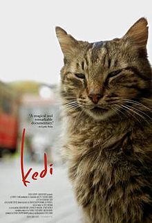 Kedi-film-poster