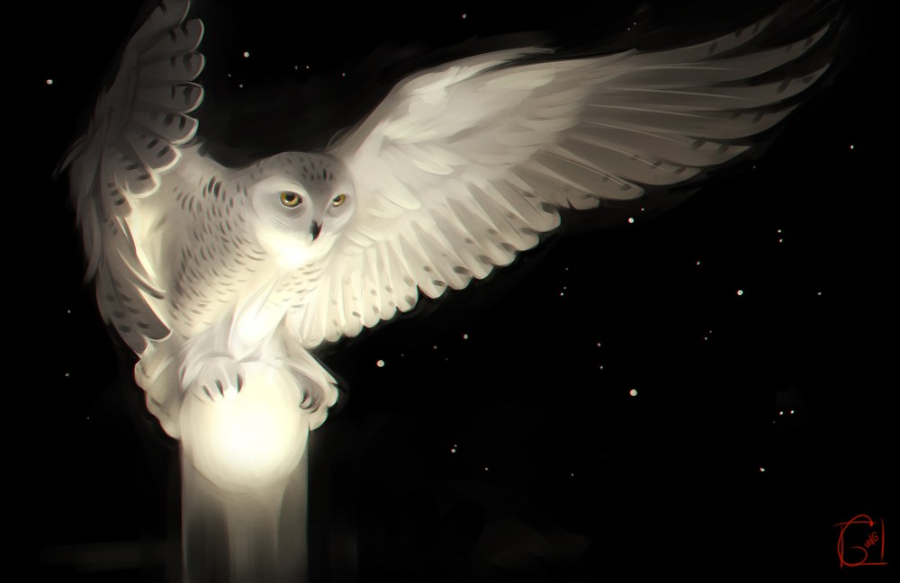 owl glowing