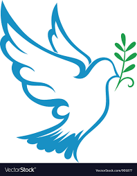 peace dove