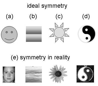 symmetry vs reality