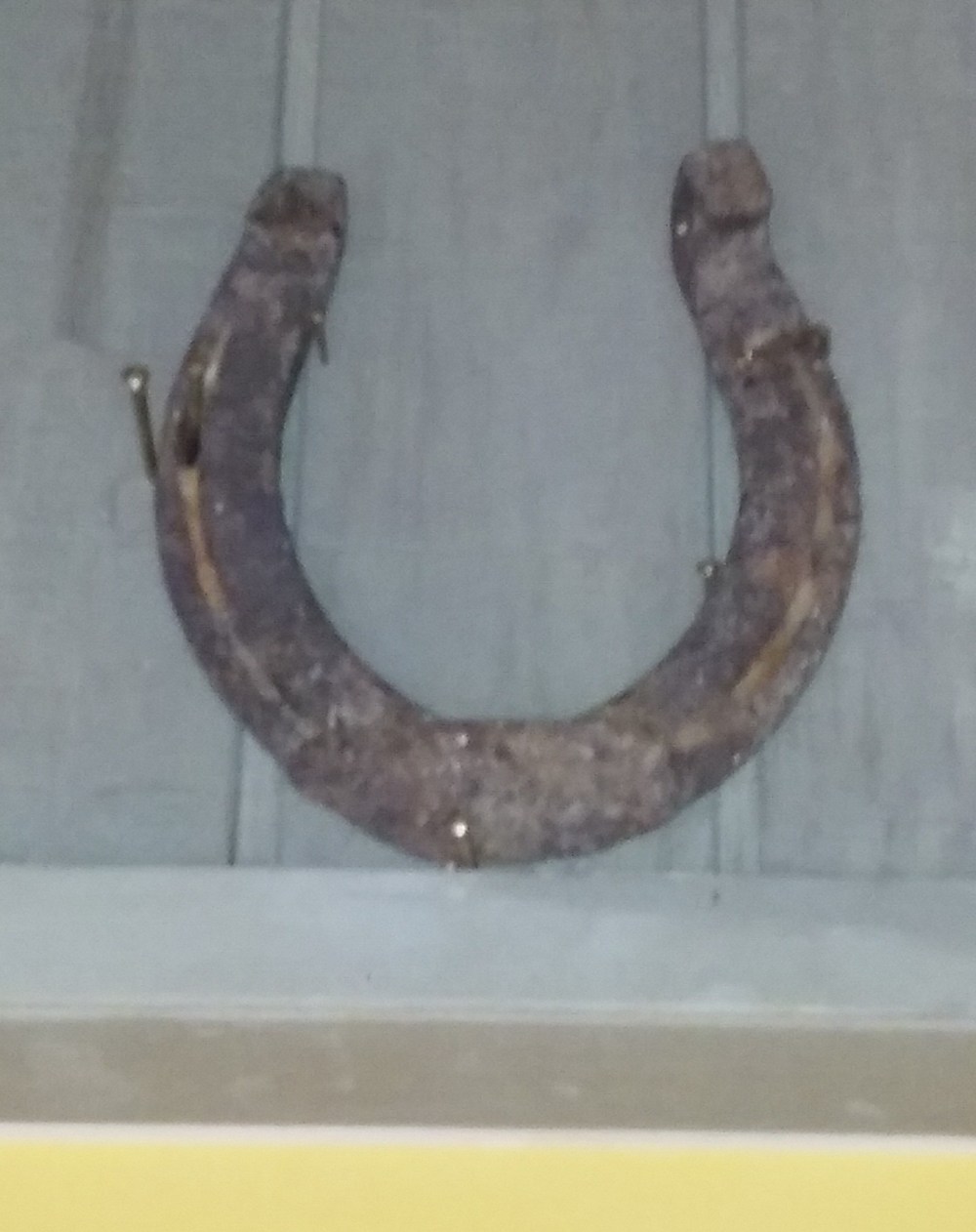 horseshoe