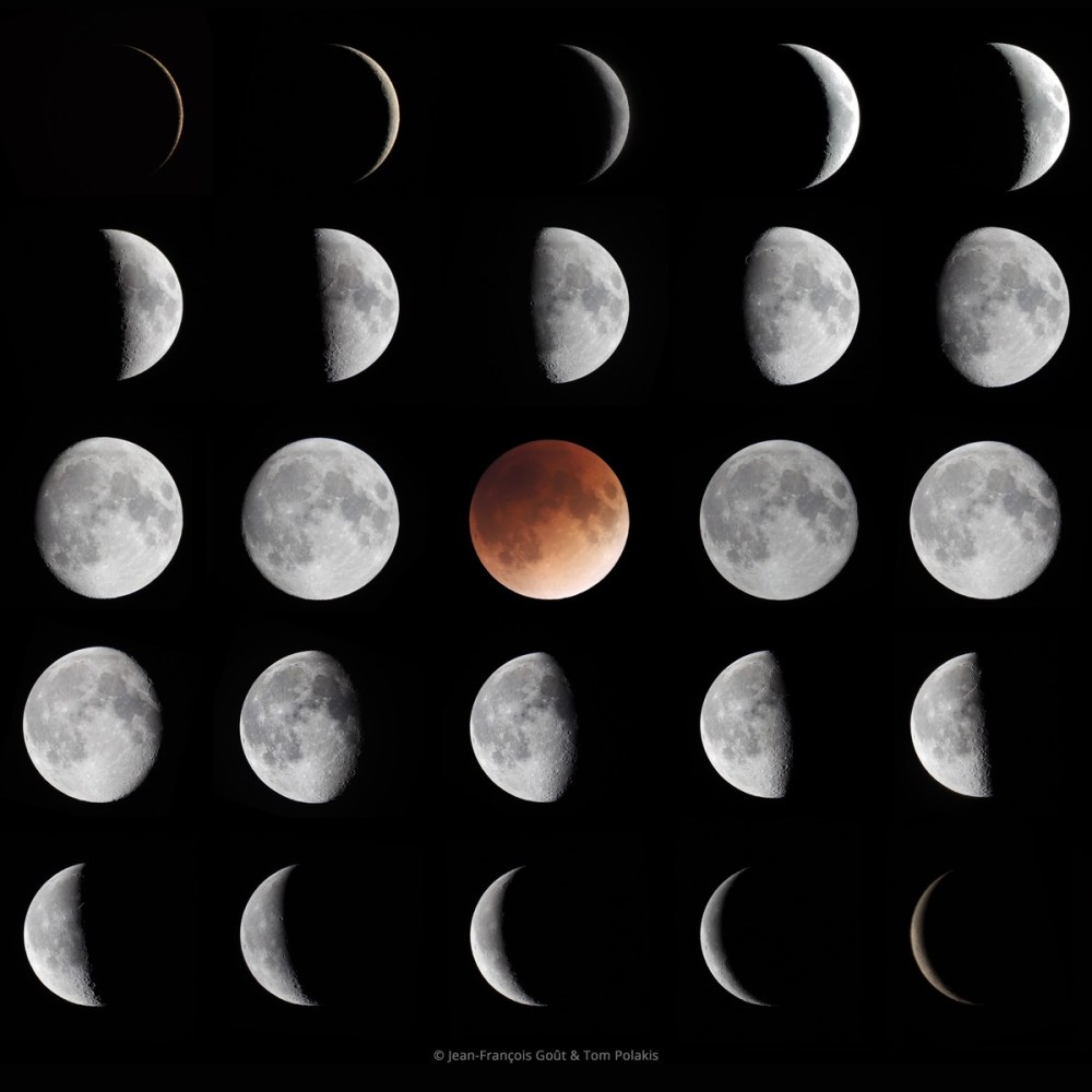 phases of moon poster
