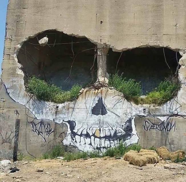 skull wall