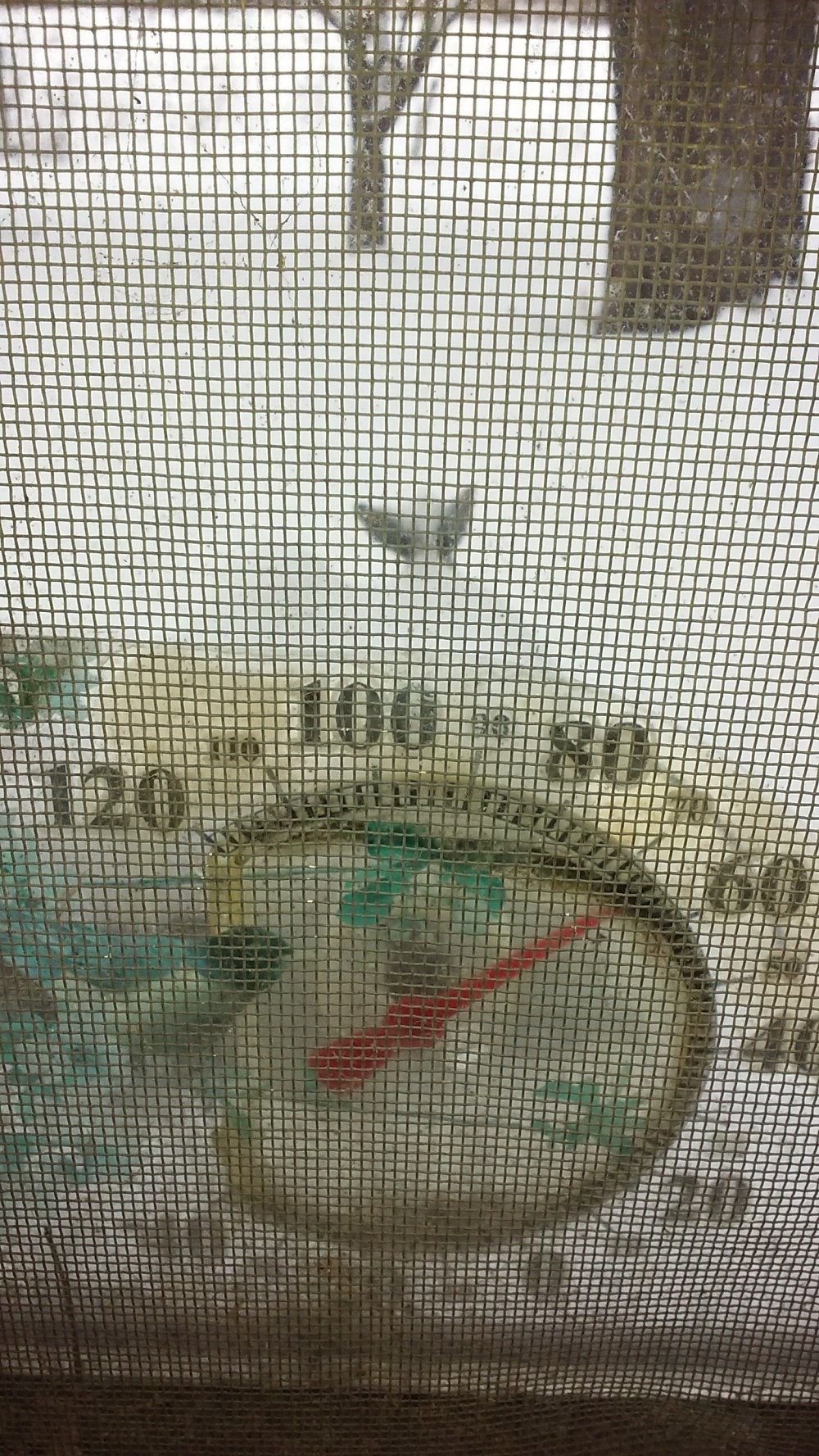 thermometer at a permanent temp 012419