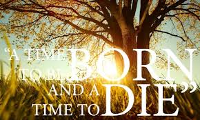 a time to be born and a time to die