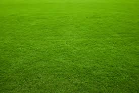 grass green