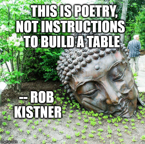 This is poetry not instructions to build a table by Rob Kistner
