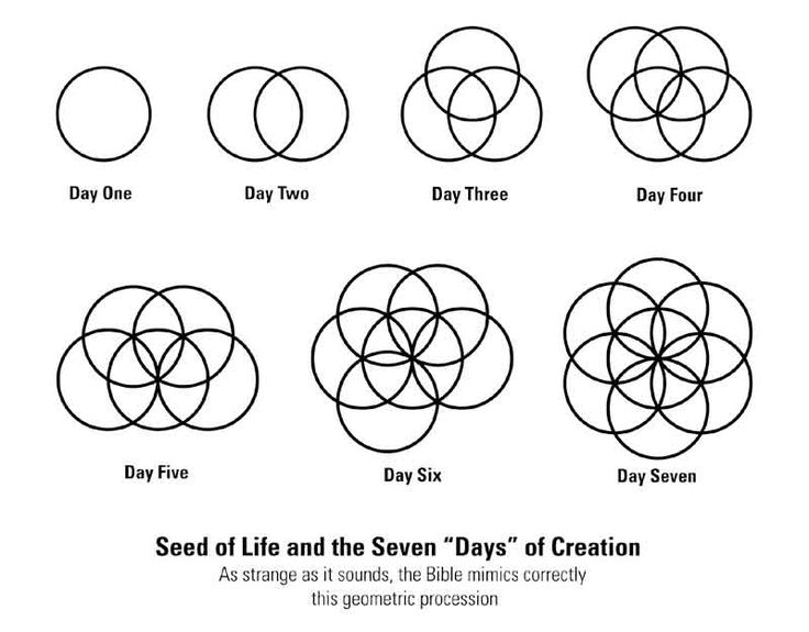 7 days of creation