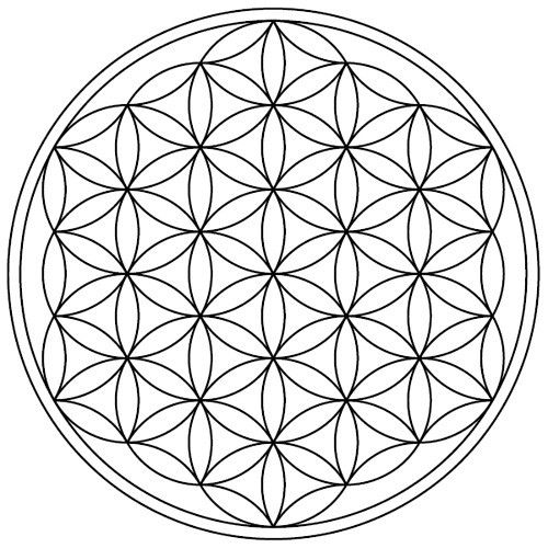 flower of life 19 circles