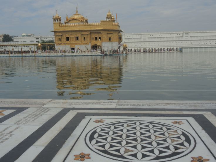 flower of life in india