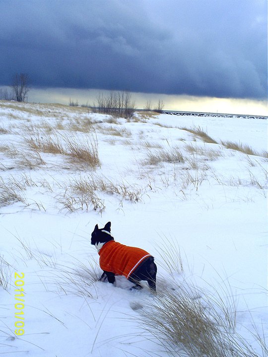 167521_1497286522094_2684139_n_1497286522094