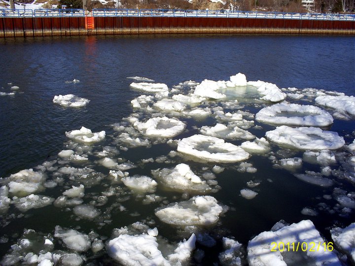 184082_1545438565865_2315124_n_1545438565865