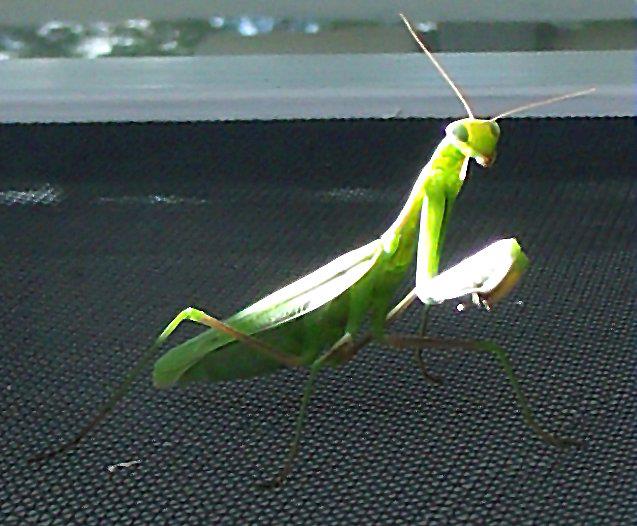 185807_3385742252307_607093621_n_3385742252307