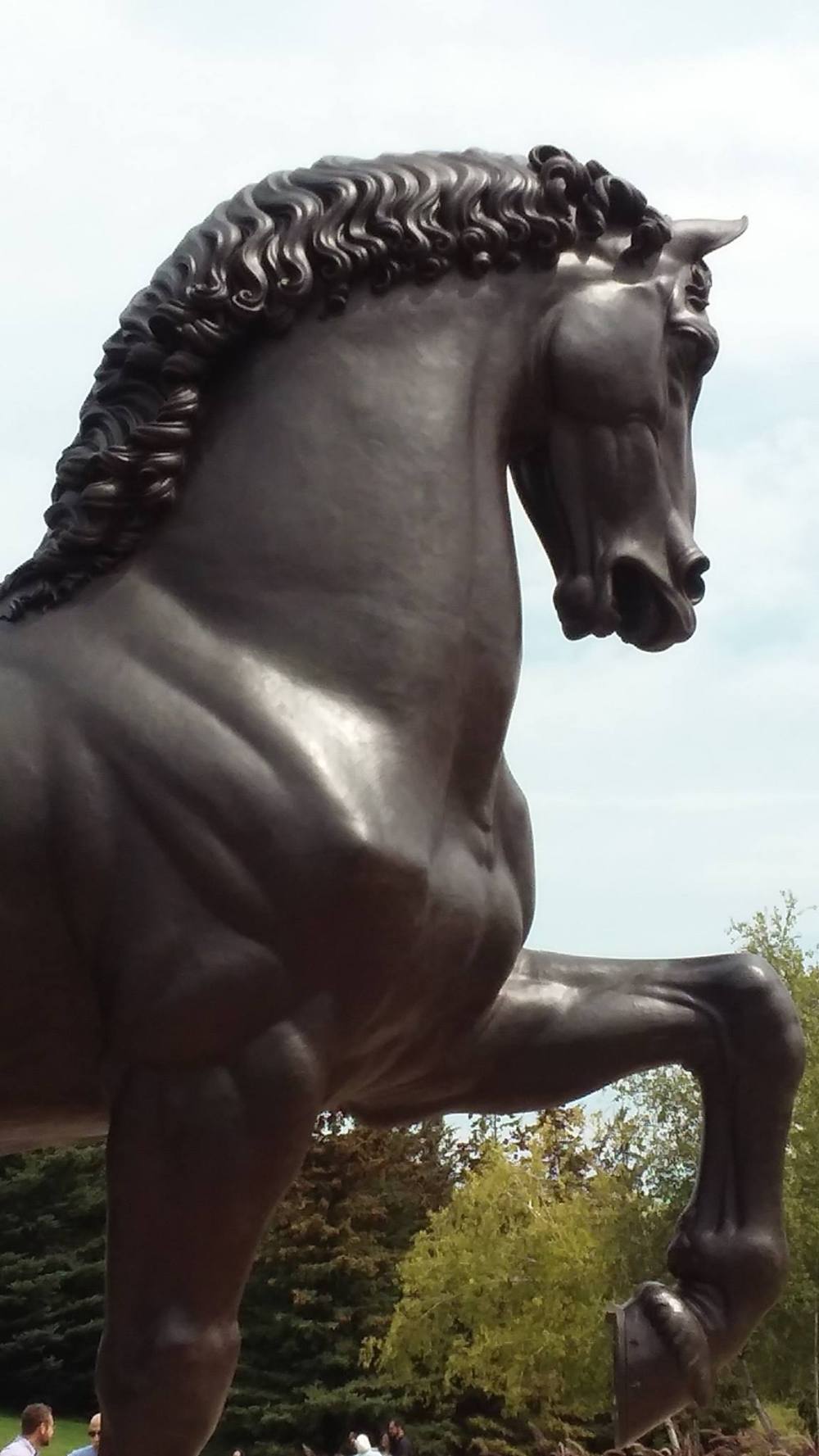 21083281_10209420159570896_3231718375739954397_o_10209420159570896