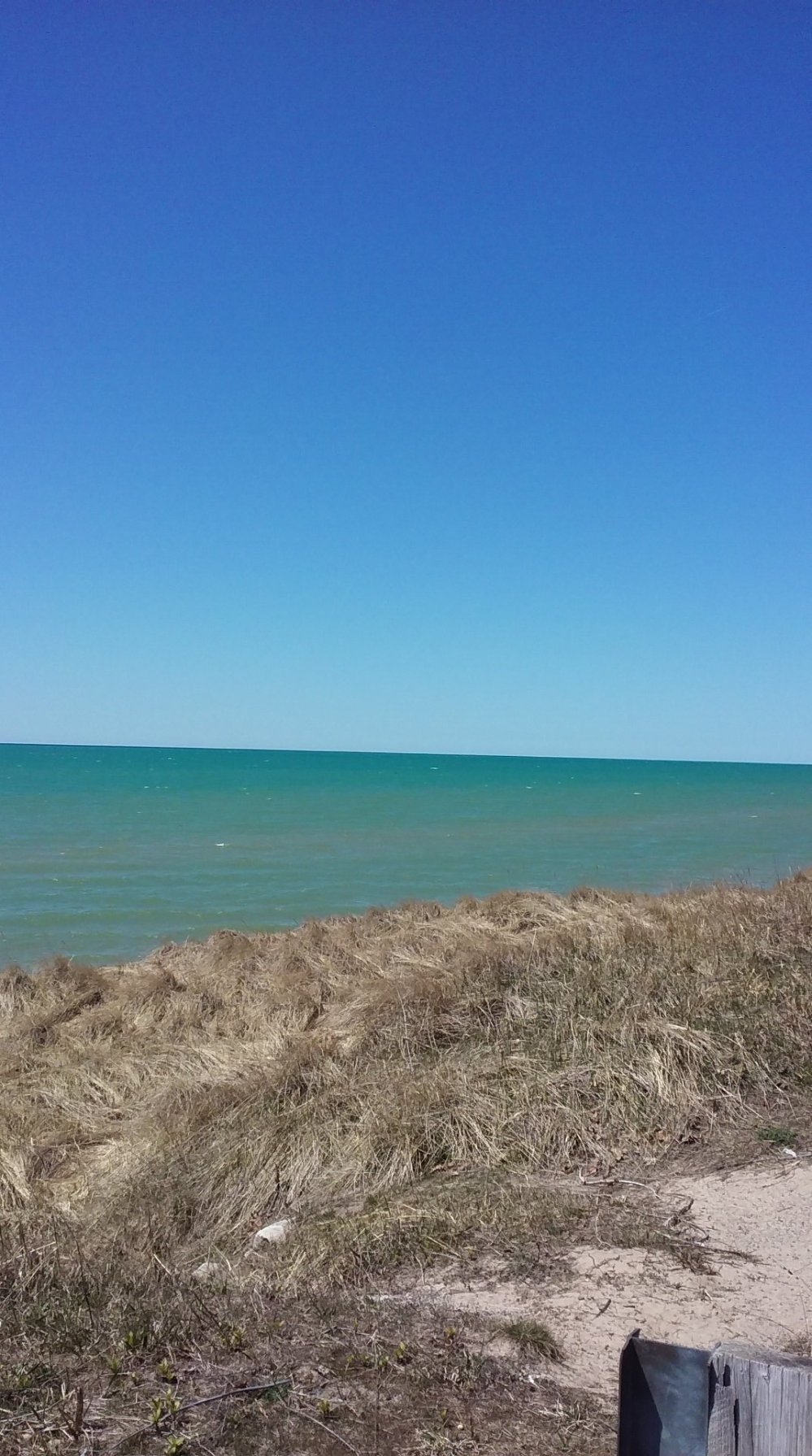 30806143_10211011917883859_6873372724836512195_o_10211011917883859