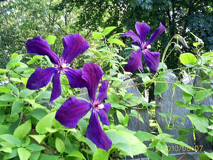 39059_1337093637372_1193543_n_1337093637372