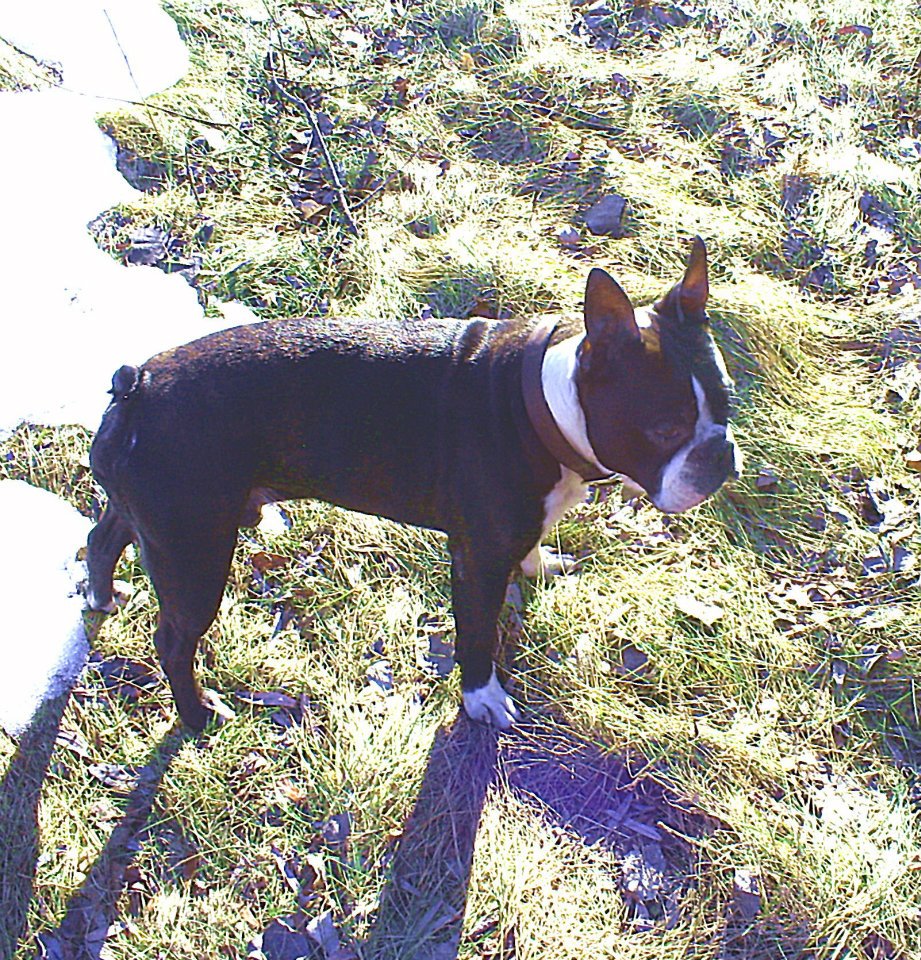 405864_2614106601898_1980077679_n_2614106601898