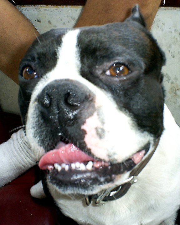 44376_1343795164906_3588433_n_1343795164906