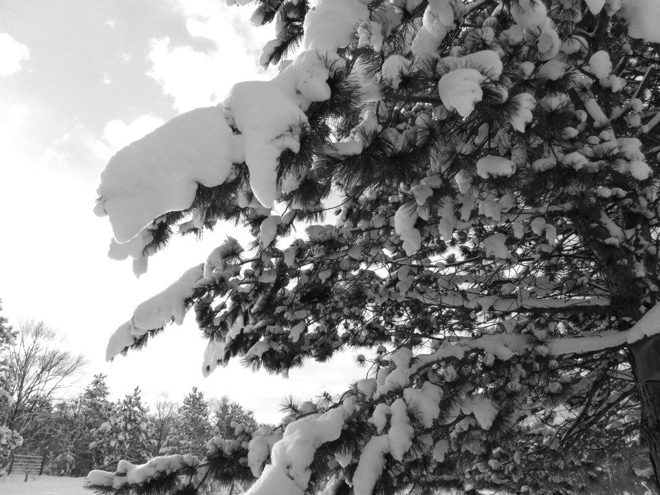 734279_4122821838836_1040629640_n_4122821838836