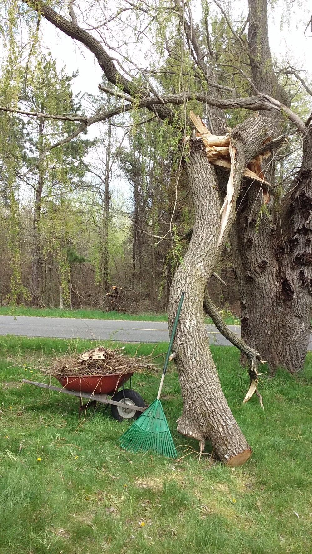 last trip to brushpile 051319