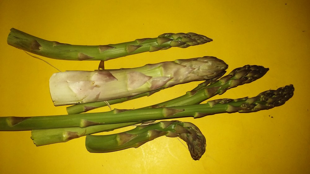 new asparagus