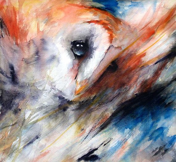 night owl watercolor