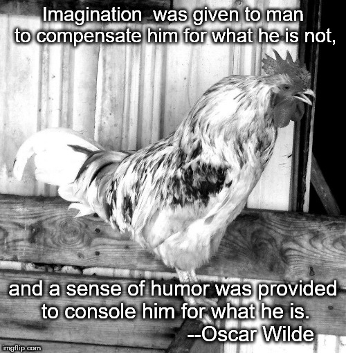 rooster meme with oscar wilde