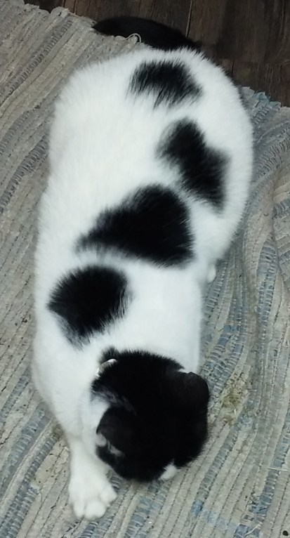 Dotty is dotty 101919