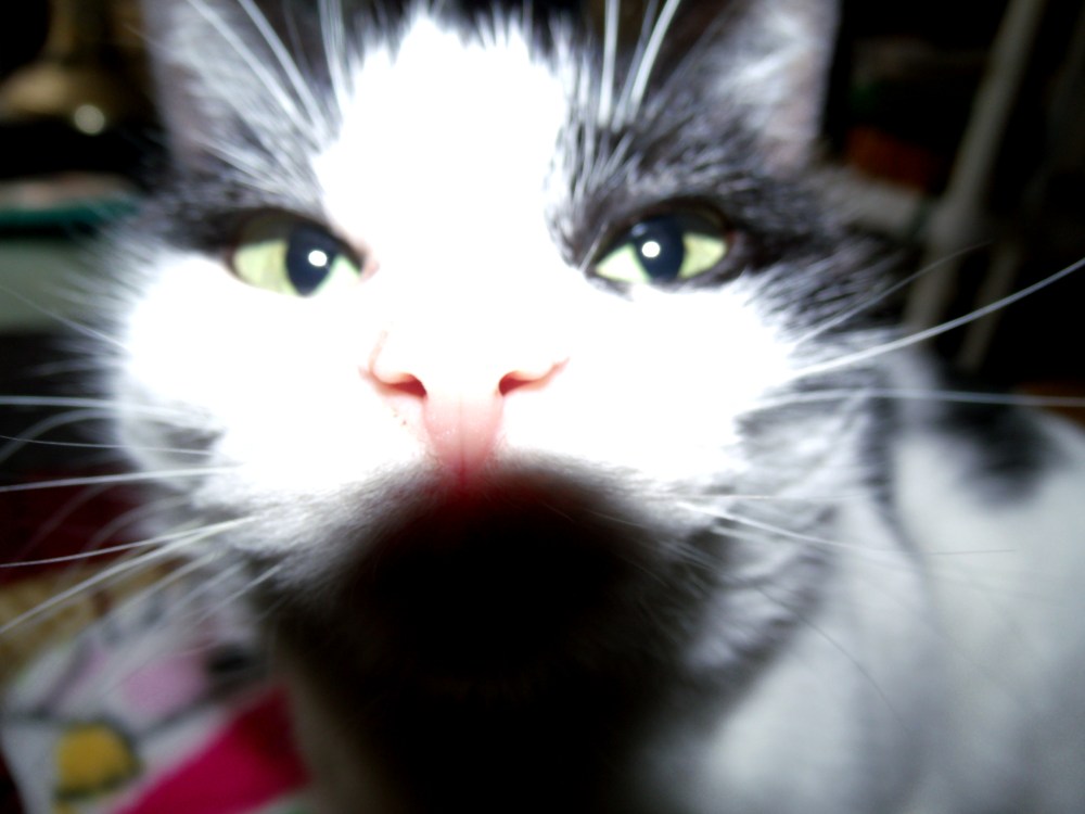 GEDSC DIGITAL CAMERA