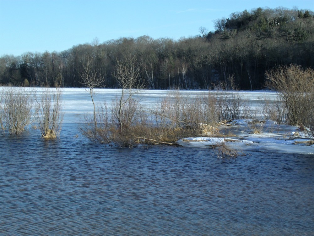 GEDSC DIGITAL CAMERA