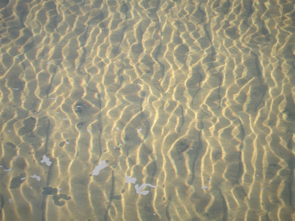 GEDSC DIGITAL CAMERA