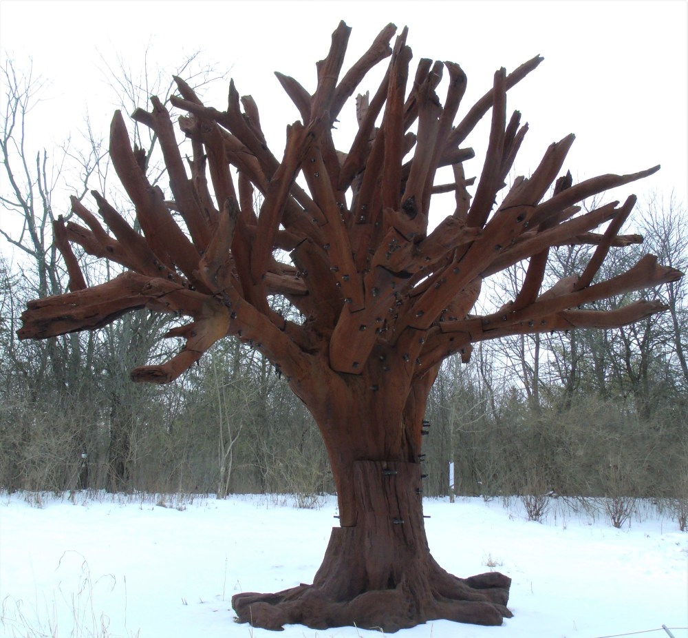 GEDSC DIGITAL CAMERA