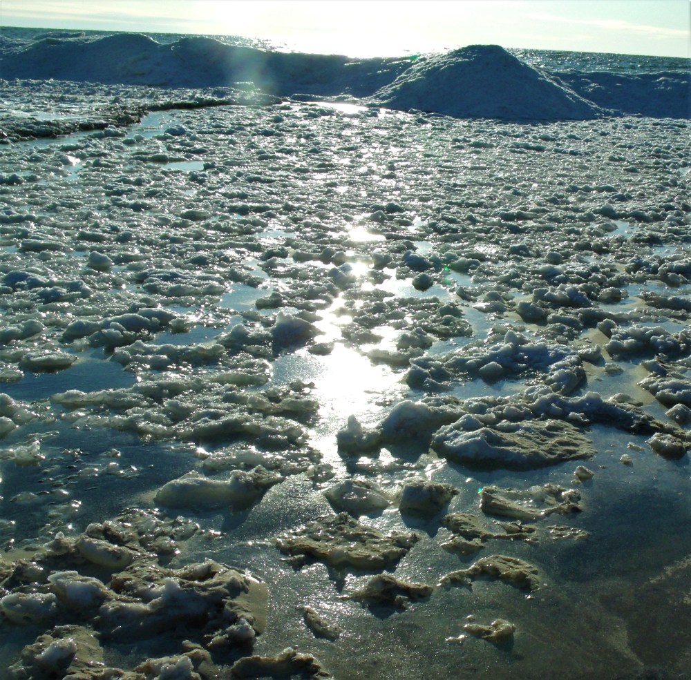 GEDSC DIGITAL CAMERA