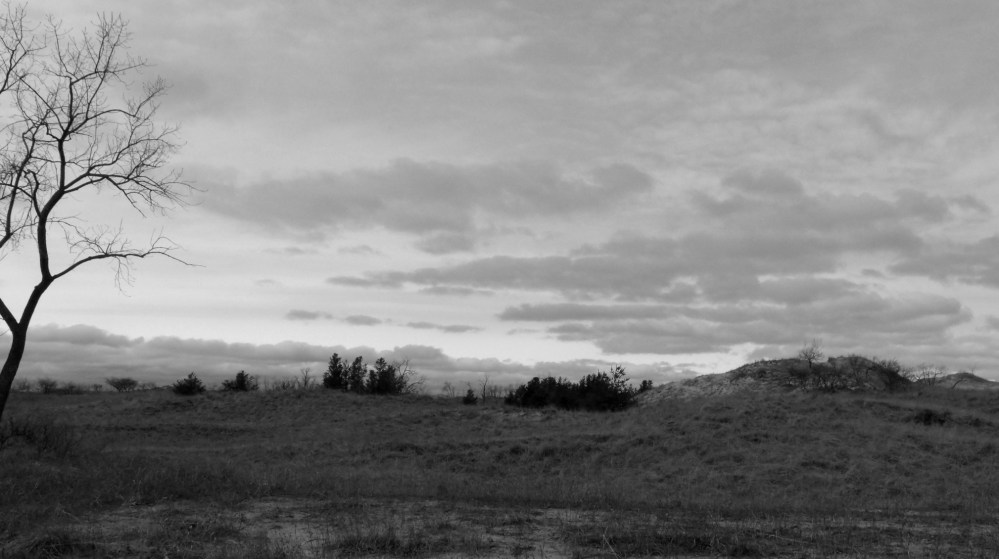 GEDSC DIGITAL CAMERA