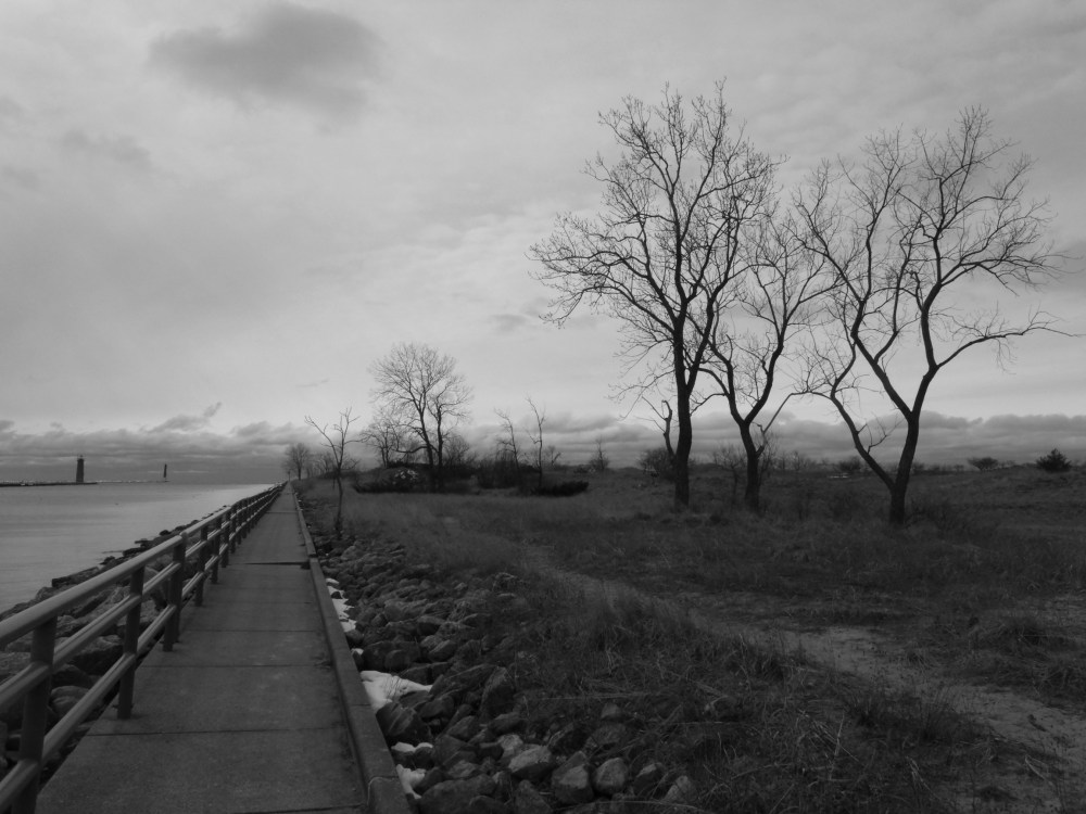 GEDSC DIGITAL CAMERA