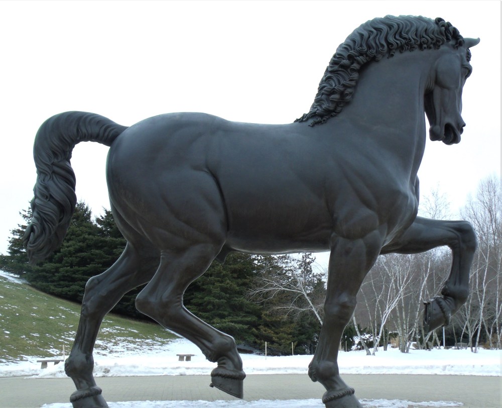 GEDSC DIGITAL CAMERA