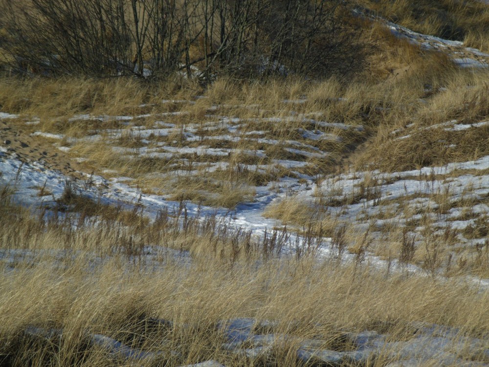 GEDSC DIGITAL CAMERA