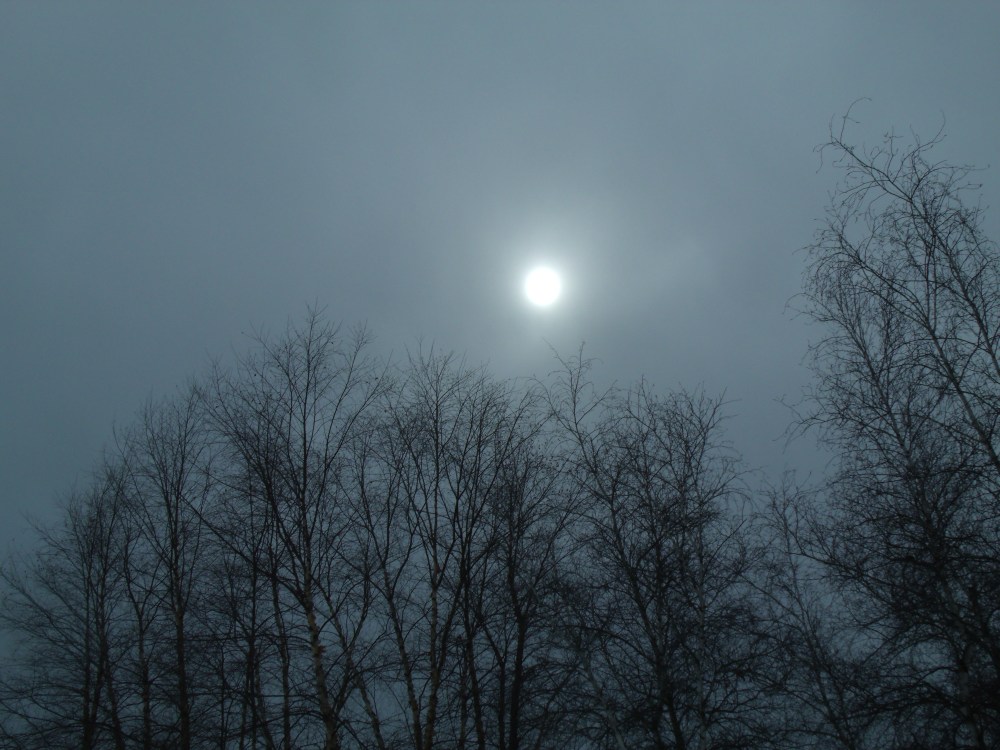 GEDSC DIGITAL CAMERA