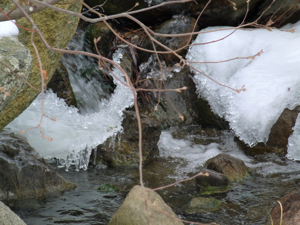 GEDSC DIGITAL CAMERA