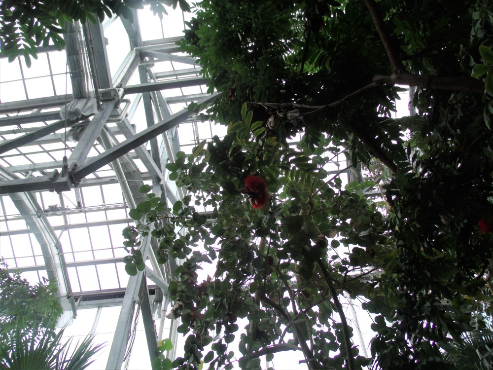 GEDSC DIGITAL CAMERA