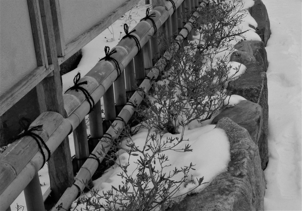 GEDSC DIGITAL CAMERA