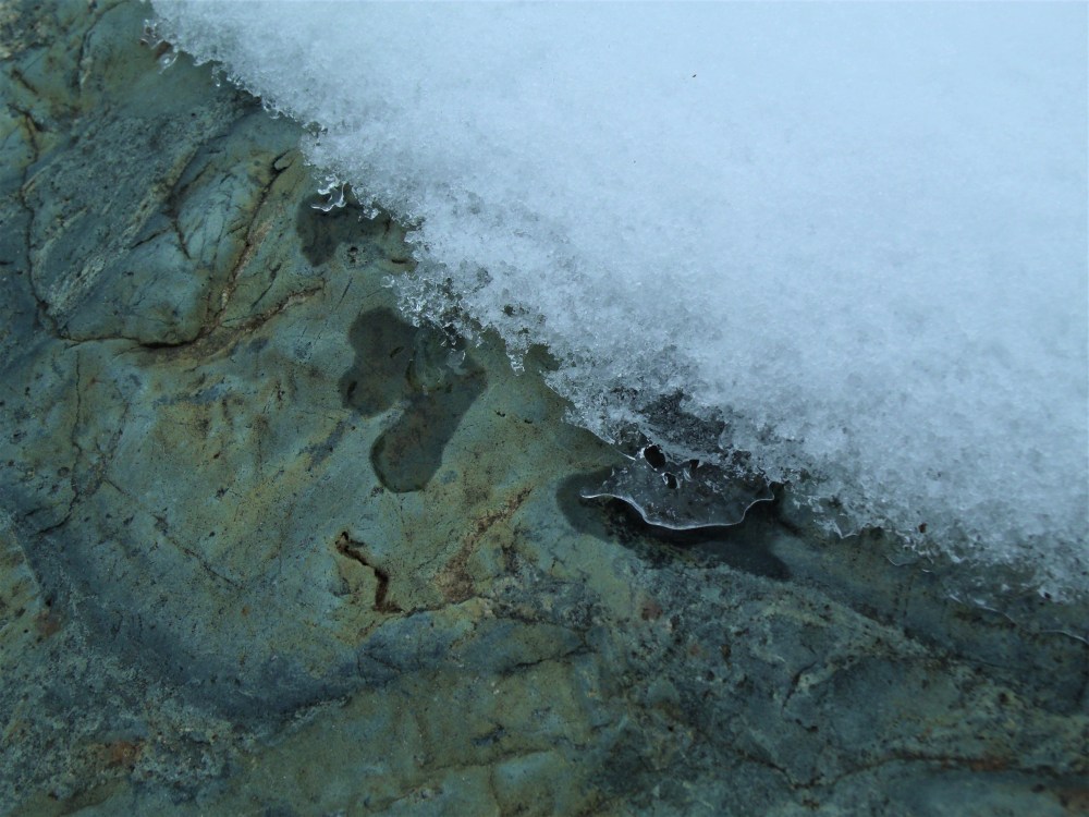 GEDSC DIGITAL CAMERA