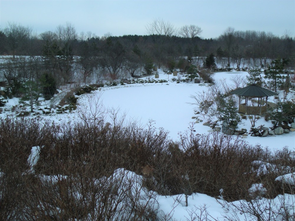 GEDSC DIGITAL CAMERA