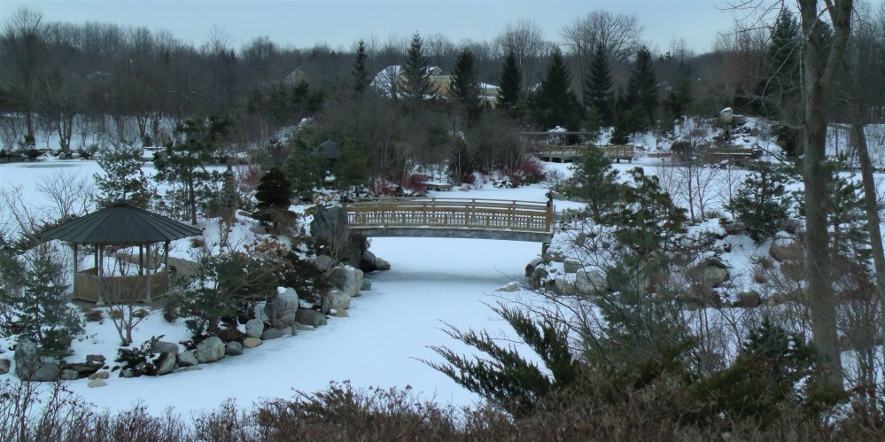 GEDSC DIGITAL CAMERA