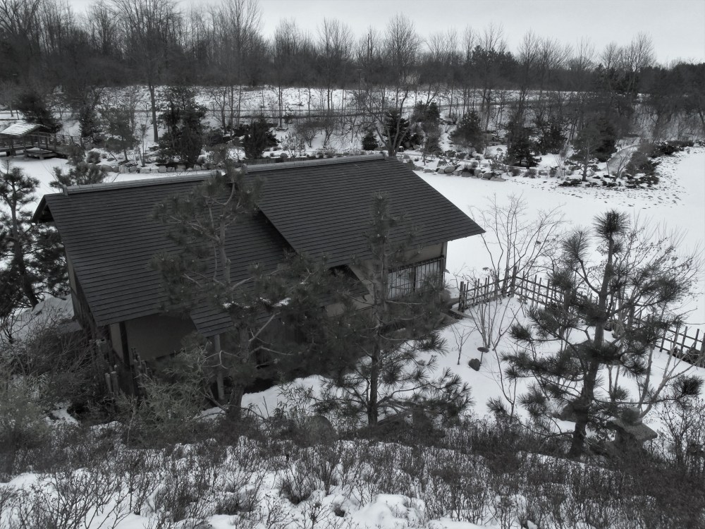 GEDSC DIGITAL CAMERA