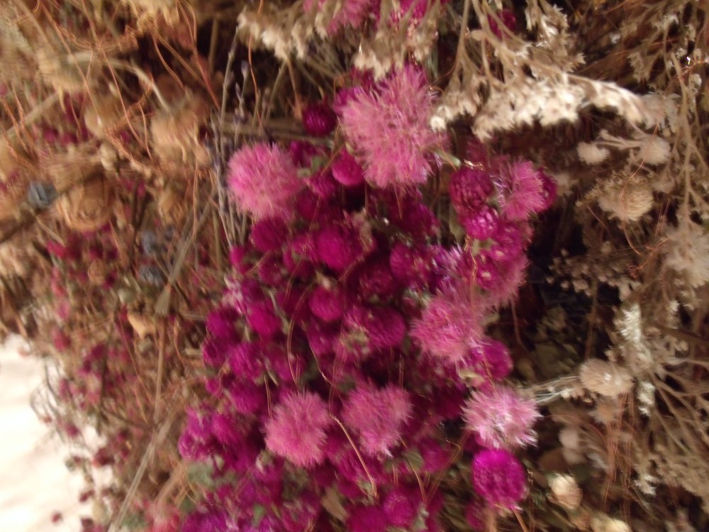 GEDSC DIGITAL CAMERA