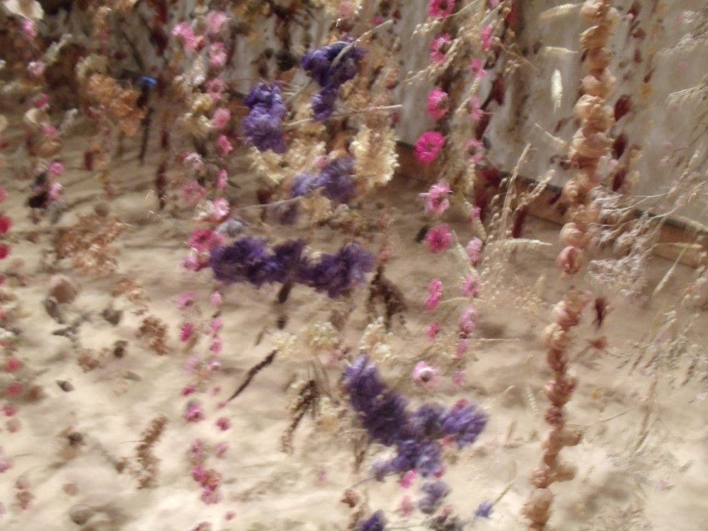 GEDSC DIGITAL CAMERA