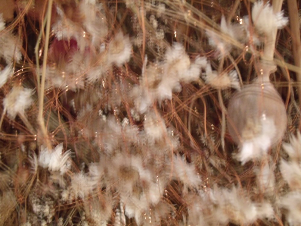 GEDSC DIGITAL CAMERA