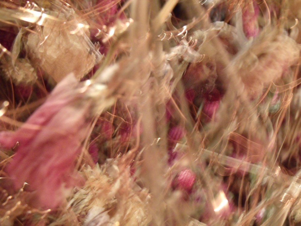 GEDSC DIGITAL CAMERA